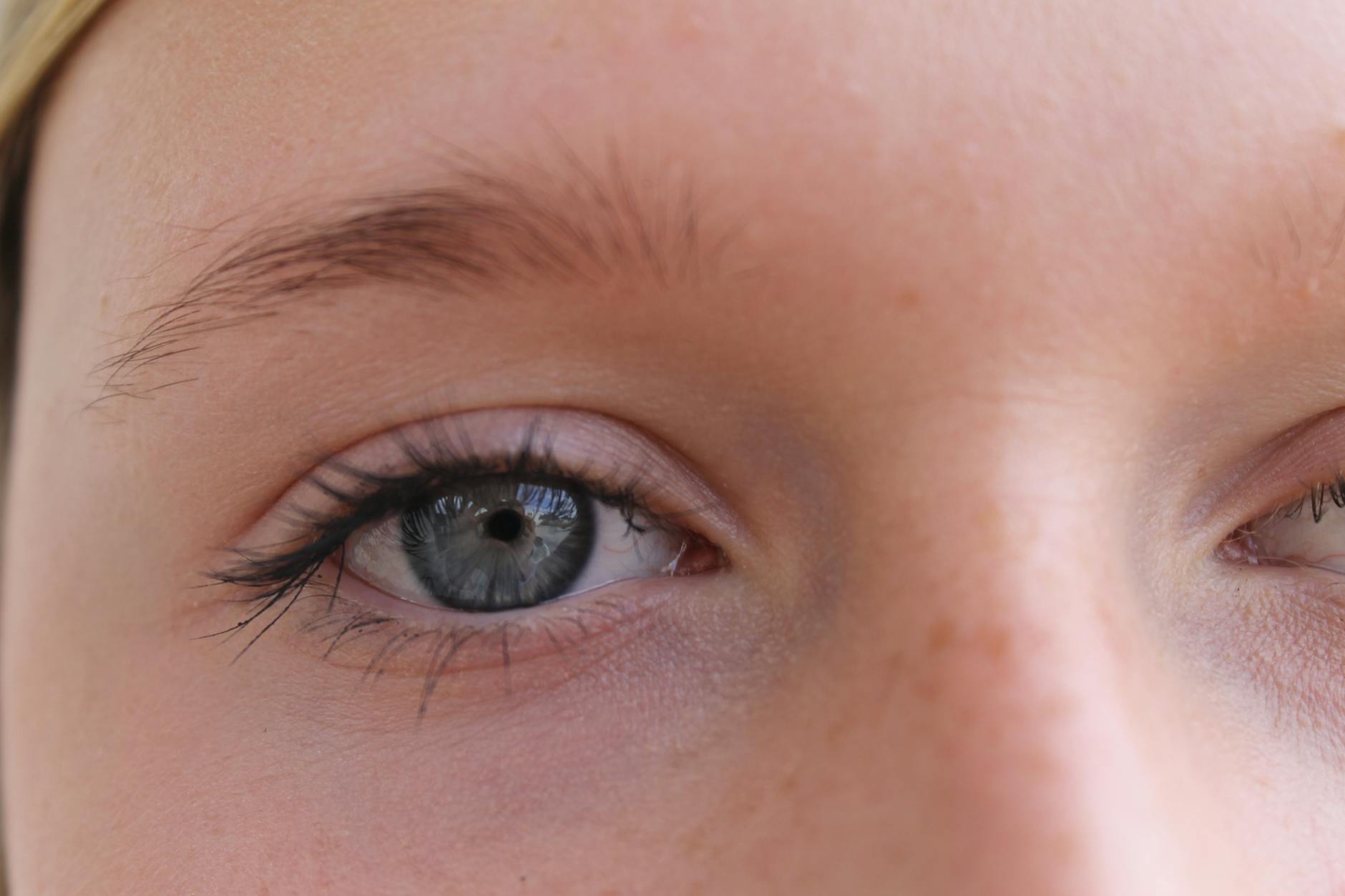 close up photo of person eye